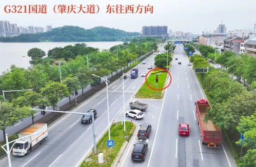增设交通设施 老旧小区改造 肇庆这些民生实事,与你息息相关