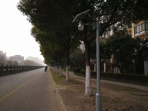 沙浦河边安装太阳能路灯进展 顾新路道路监控设施升级 平流雾下的新顾城 沙浦路新装修永辉生活超市 友谊西路划道路标识线