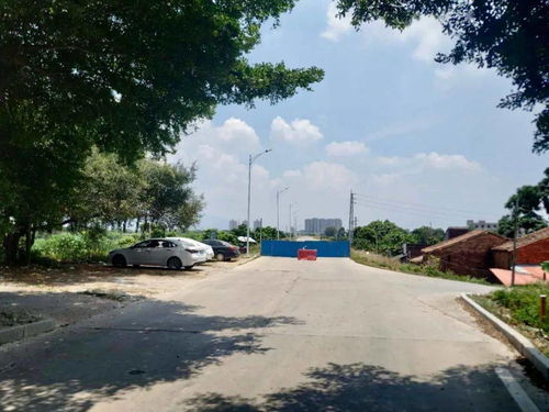 通告 园洲沙河堤这路段近期进行全围蔽施工