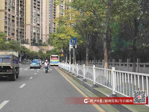 九子塘小学附近道路交通安全设施已完善