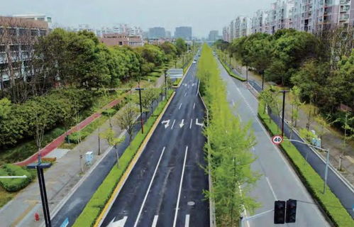 新增8条 闵行已成功创建33条 精品道路