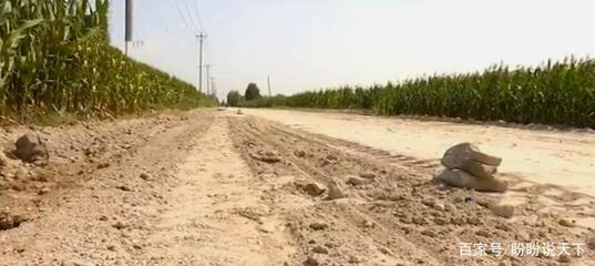 保定清苑区为了给工厂修路,私自侵占农民耕地,被省台曝光