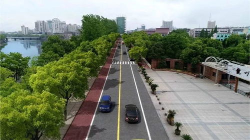 不再堵堵堵 永康对这些路段进行大改造,有你家门口吗