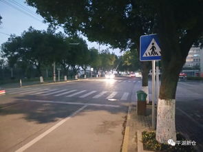 新仓镇新增一批道路交通安全设施,你发现了吗