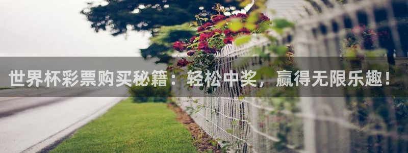 世界杯第一场比赛:世界杯彩票购买秘籍:轻松中奖,赢得无限乐趣!