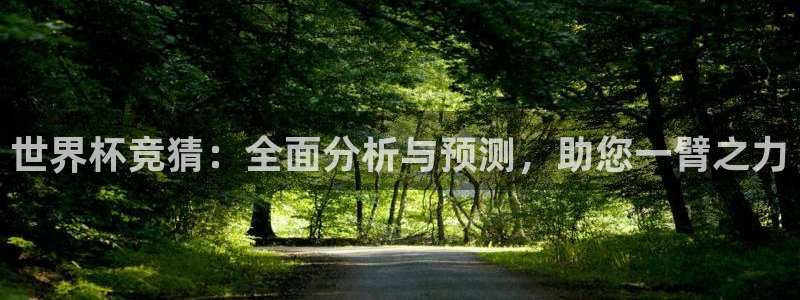 世界杯预选赛赛程:世界杯竞猜:全面分析与预测,助您一臂之力