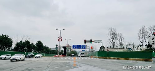 成华区熊猫大道东段 龙青路道路及配套设施改造工程