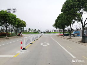 新仓镇新增一批道路交通安全设施,你发现了吗